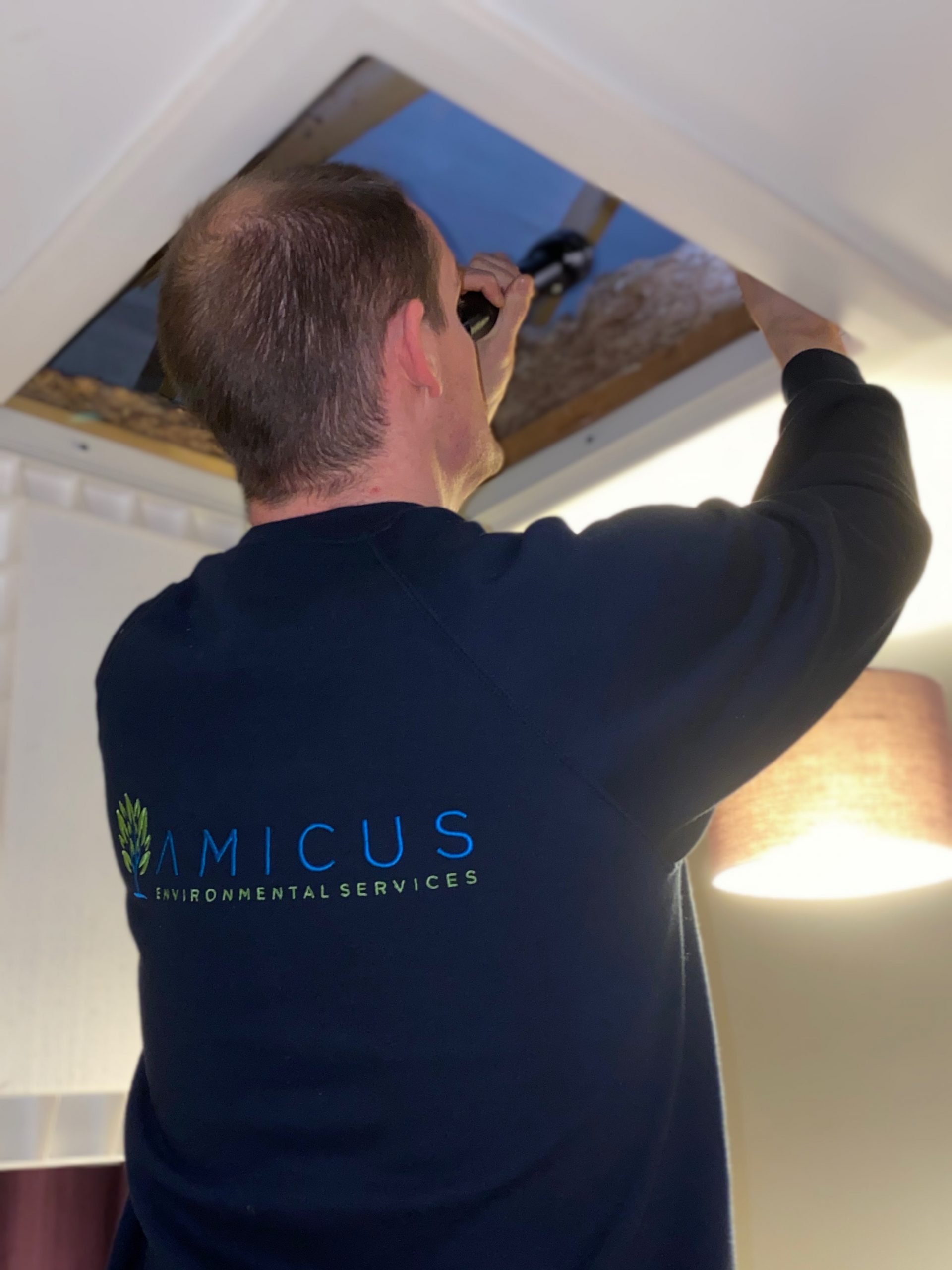 An Amicus Technician Looking for Pests